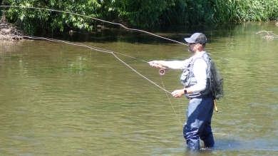 p7054987_957fbcbd.jpg